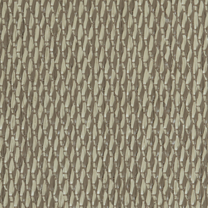 Pecan