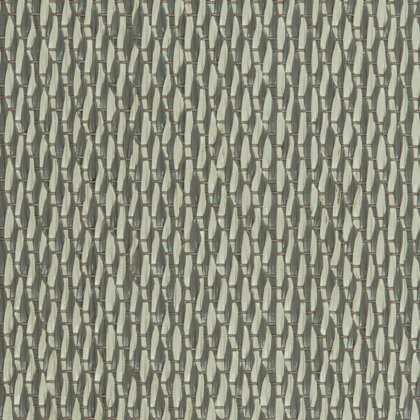 Seed